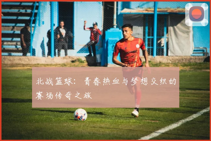北战篮球：青春热血与梦想交织的赛场传奇之旅