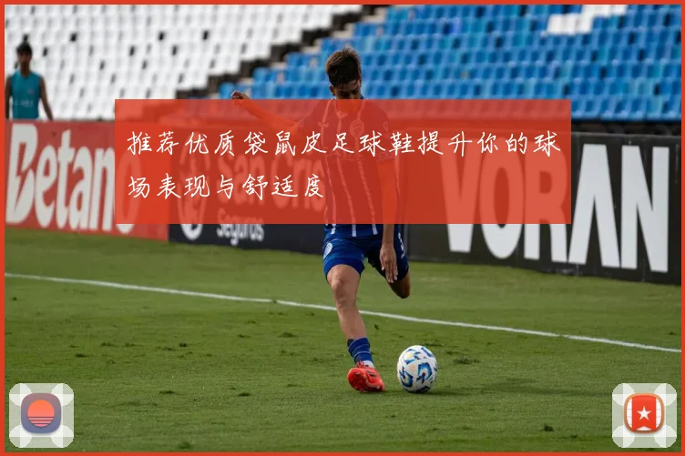 推荐优质袋鼠皮足球鞋提升你的球场表现与舒适度