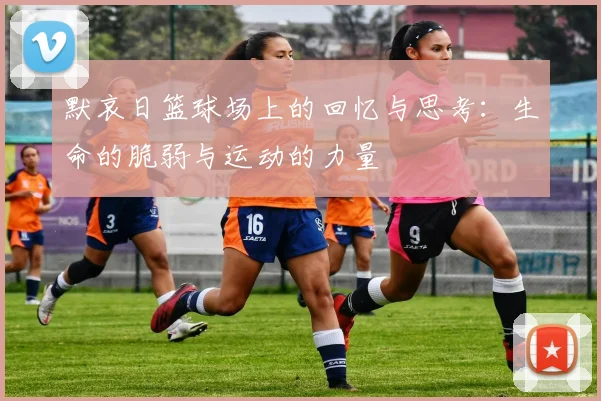 默哀日篮球场上的回忆与思考：生命的脆弱与运动的力量