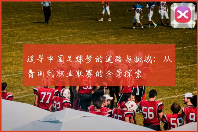 追寻中国足球梦的道路与挑战：从青训到职业联赛的全景探索
