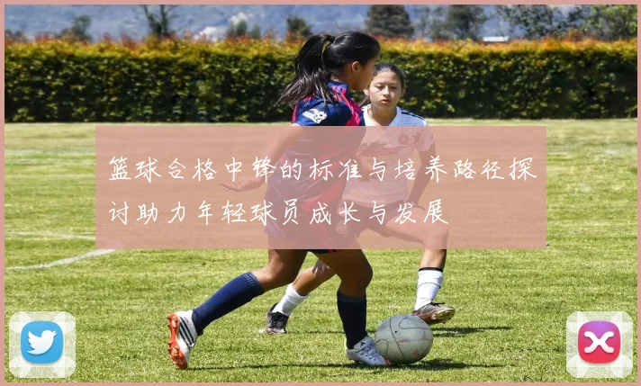 篮球合格中锋的标准与培养路径探讨助力年轻球员成长与发展